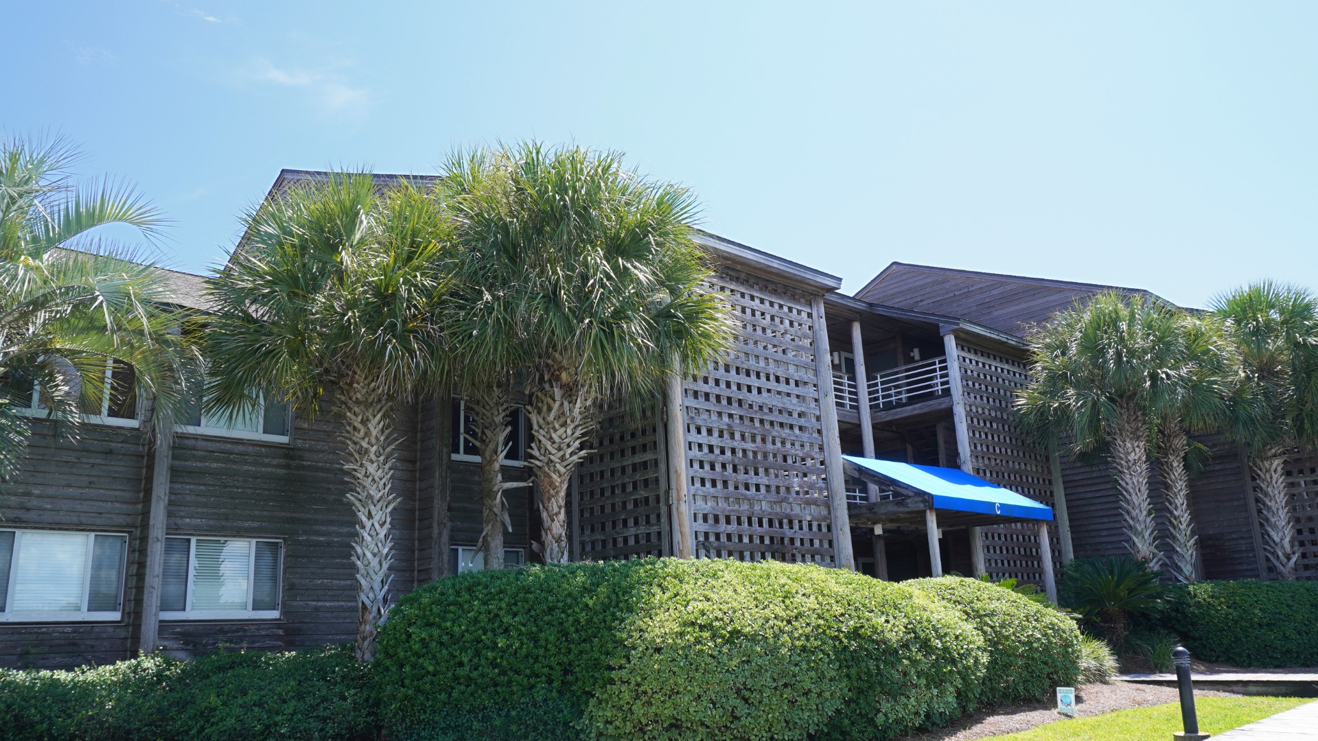 Needle Rush Point Front/Side